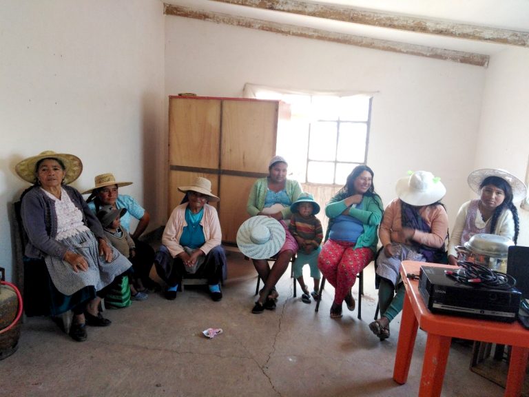 MUJERES DE LOS VALLES DE COCHABAMBA GARANTIZAN LA SEGURIDAD ALIMENTARIA DE SUS FAMILIAS