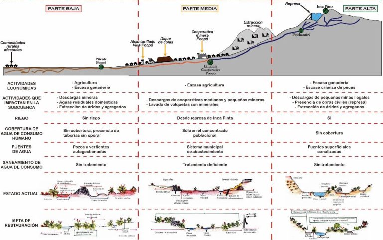 Uso de plantas nativas para la restauración de ecosistemas degradados por actividad minera