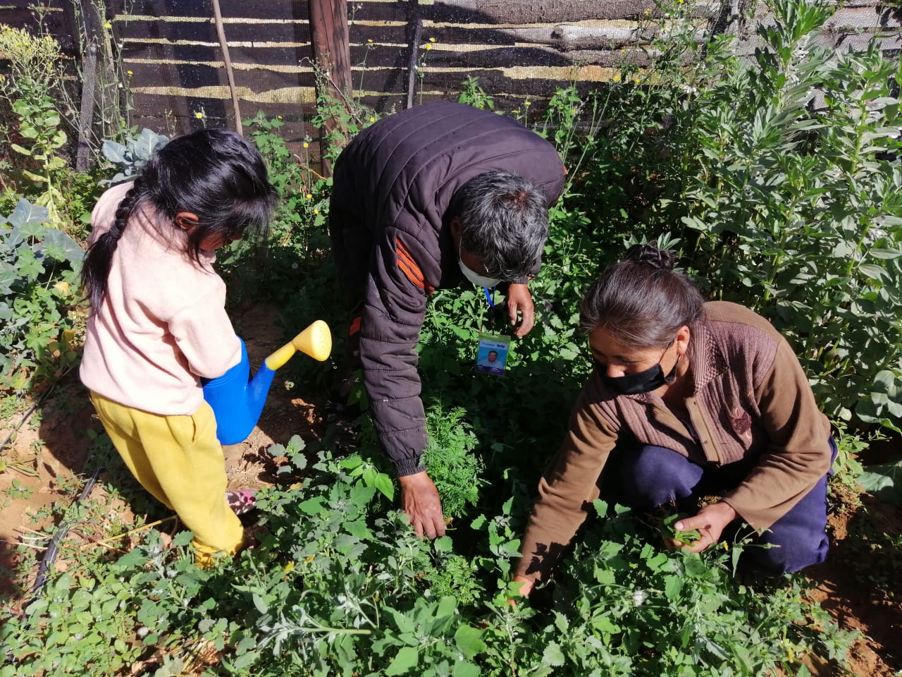 FOTO DE PRESENTACIÓN
