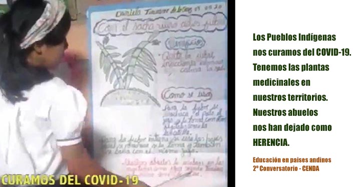 2º Conversatorio: Lecciones del Coronavirus «Existen otras modalidades de educación, la radio y televisión»