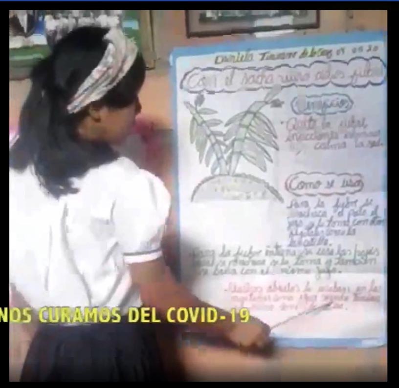 Conversatorio2 Plantas medicinales