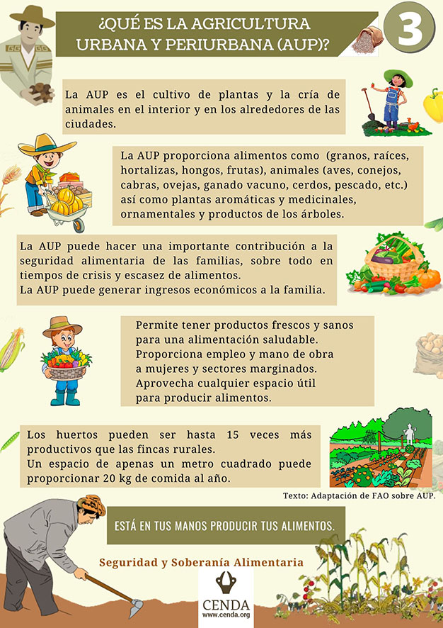 3 huertos qué es AUP