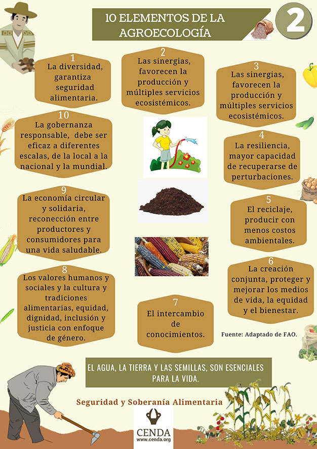 2 Huertos 10 elementos agroecología