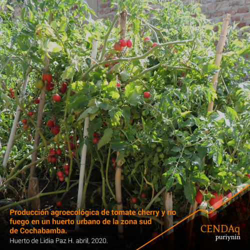 Sembrando Conocimiento,  Cosechando Seguridad y Soberanía Alimentaria