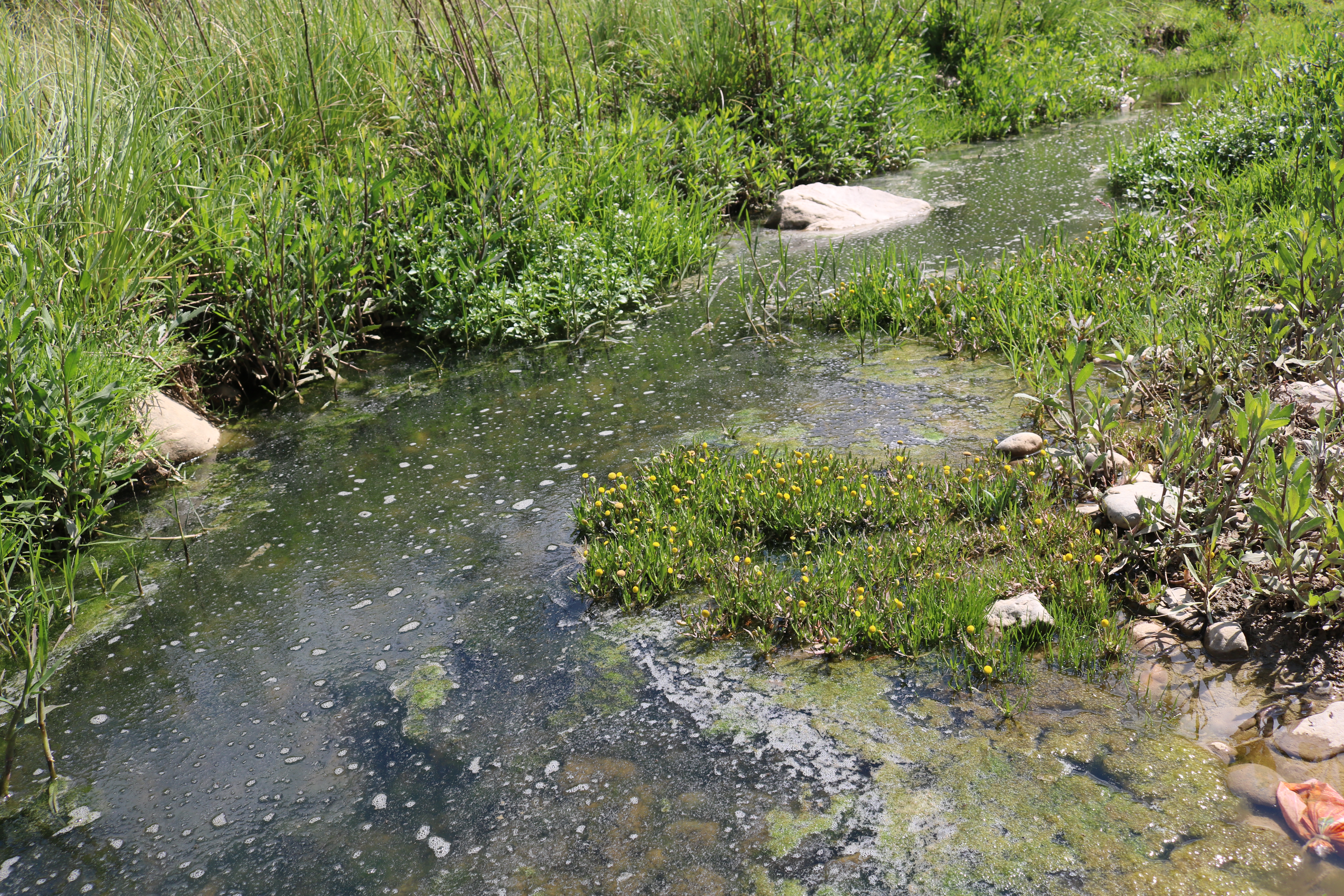 como descontaminar río maylanco 2