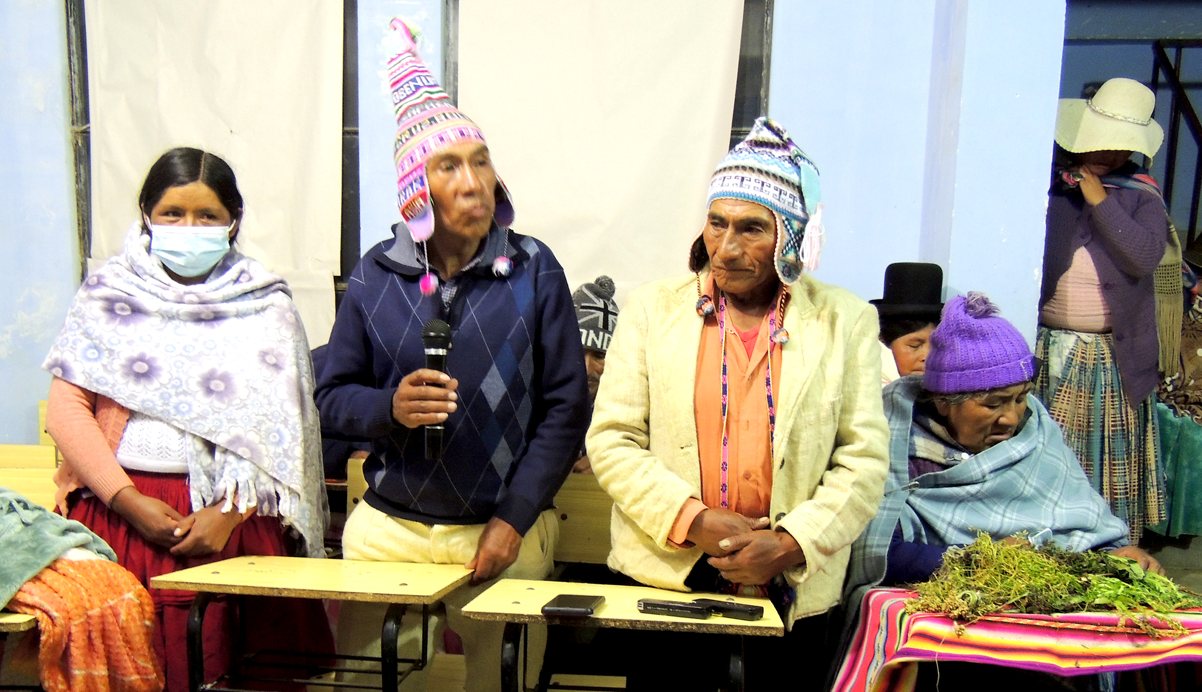 Pucara Semillas Ayopaya plantas