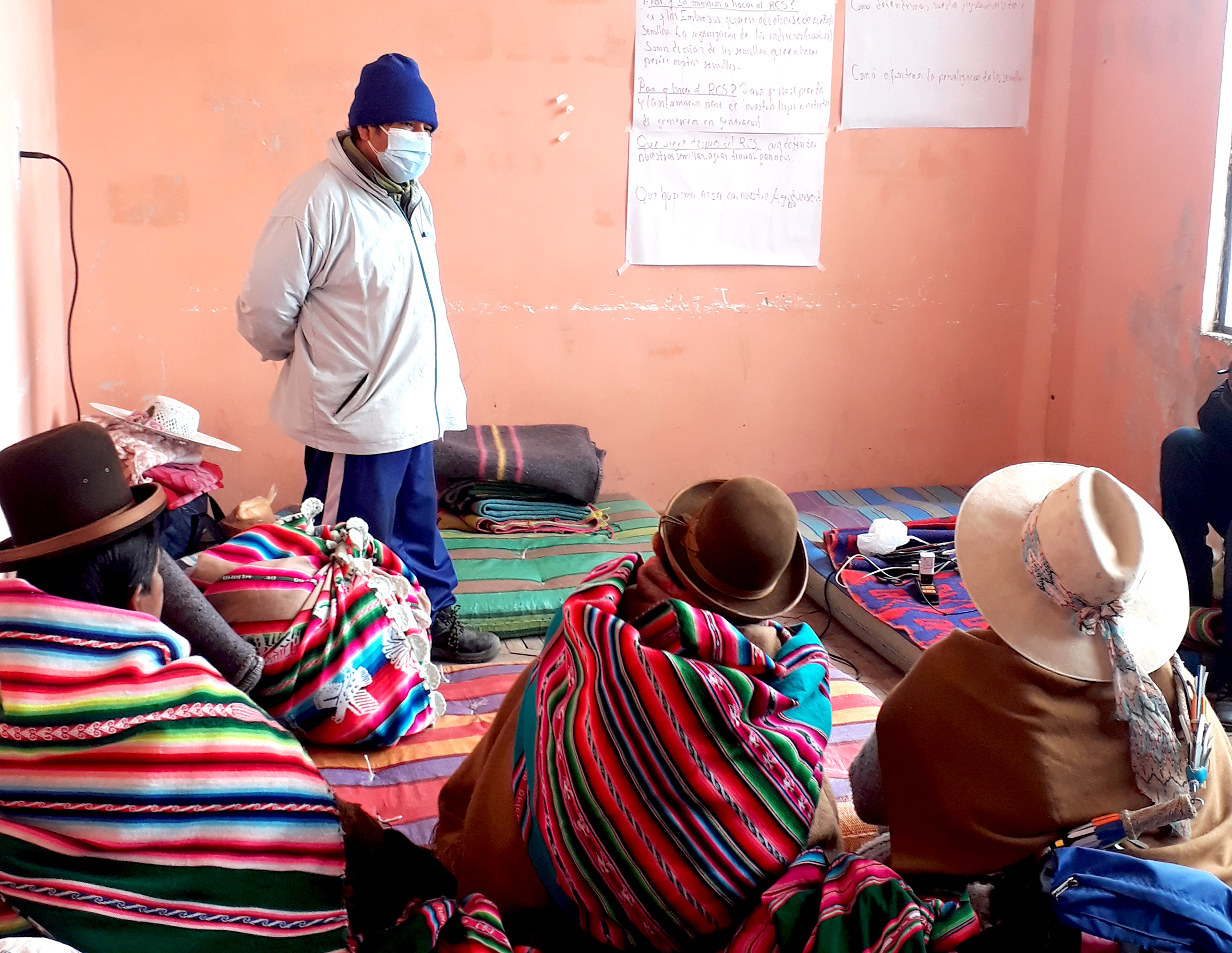 Pucara Semillas Grupos Anapa