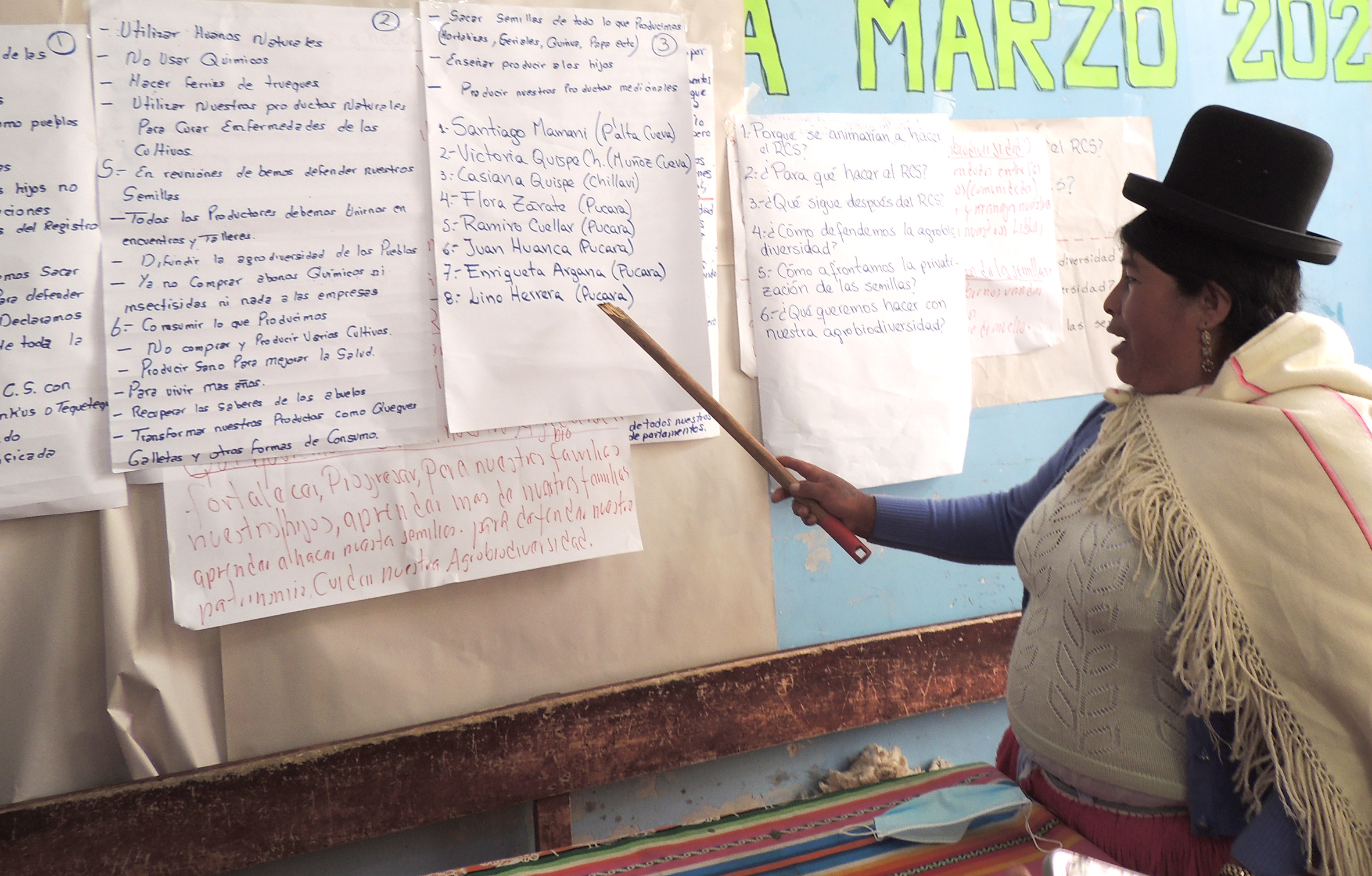 Pucara Semillas Casiana expone