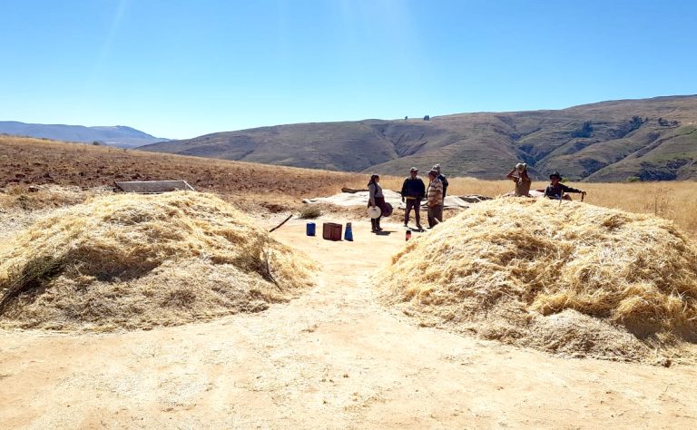 POCOATA “LUGARCITO DEL AGUA”, DONDE AGRADECEMOS A DIOS POR LA BUENA COSECHA