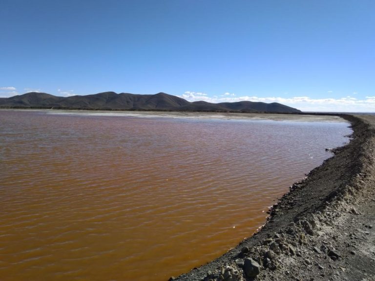 Minería: La contaminación minera devasta lo que queda del lago Poopó en Bolivia