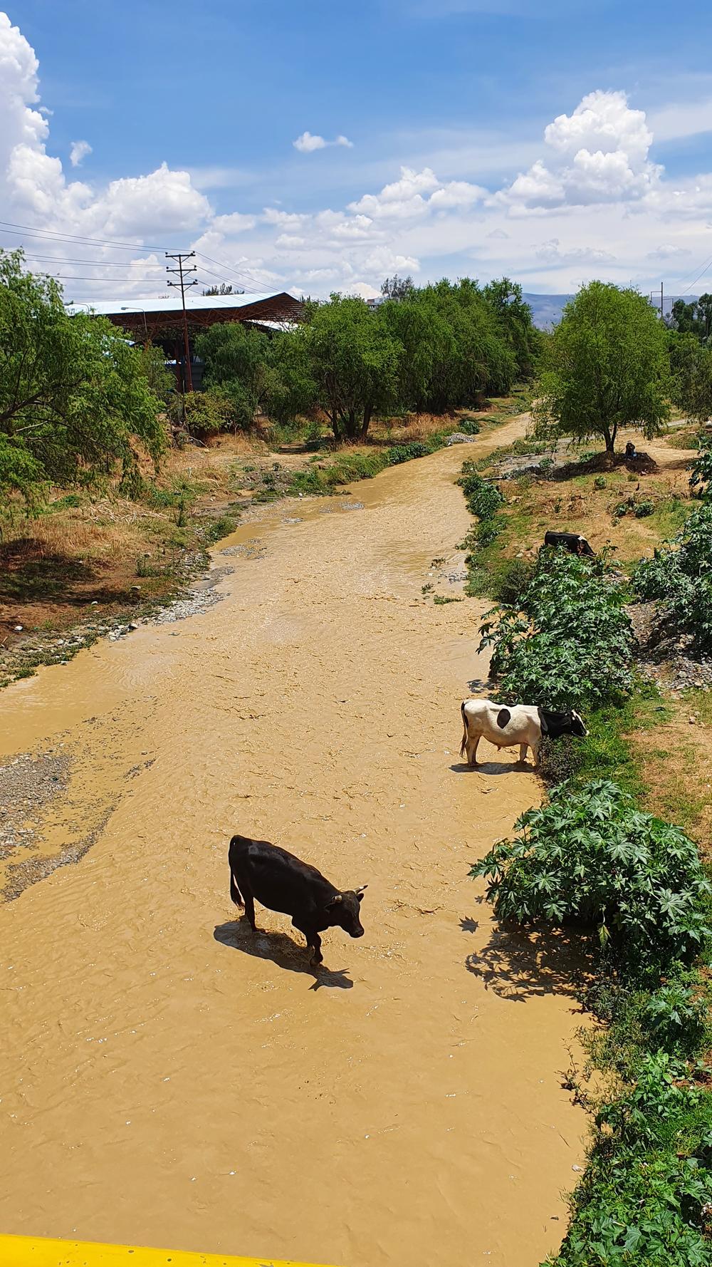 Rio Rocha 2 Antonio Compartir