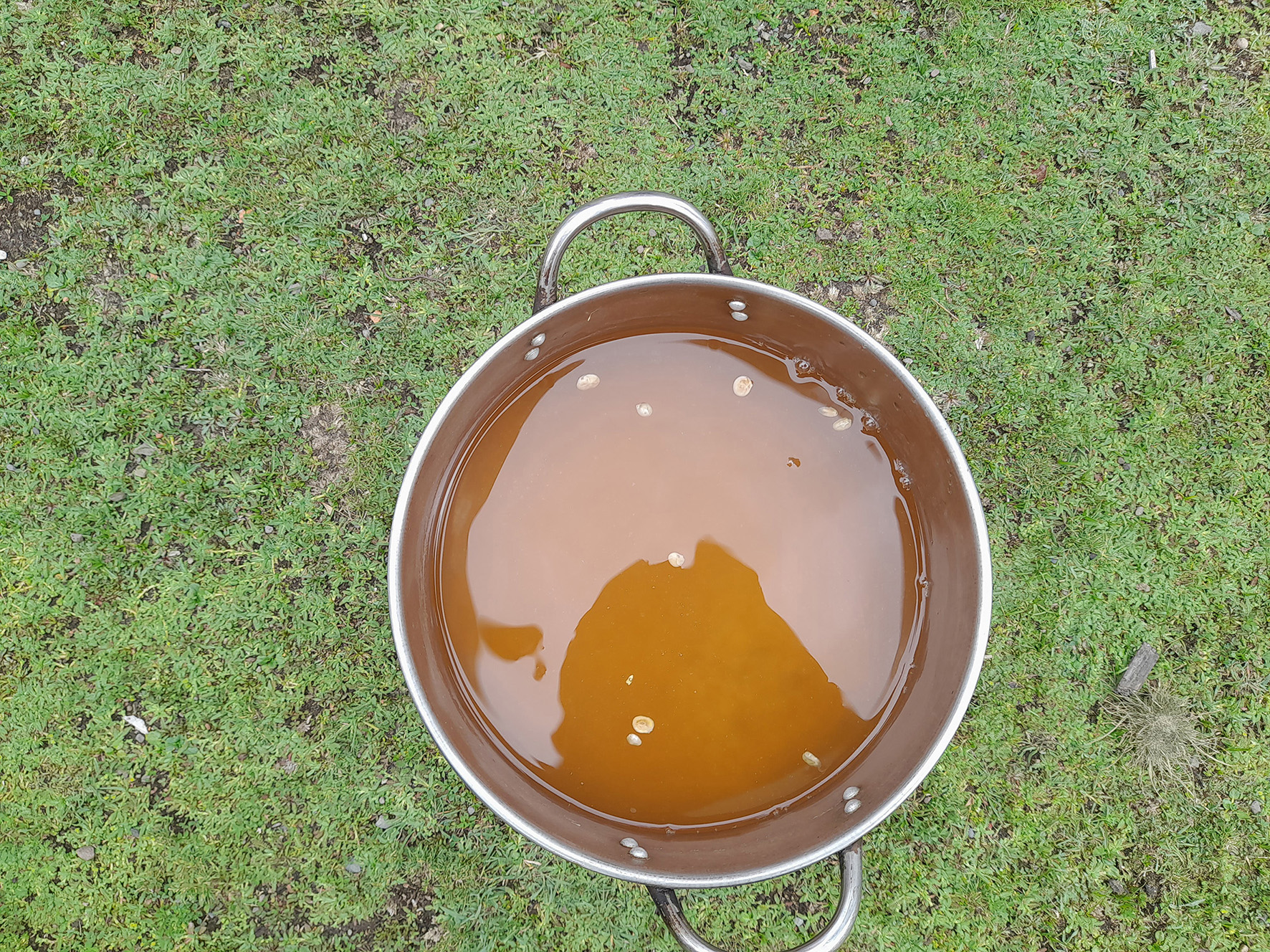 Leguminosas 16 Extracto tarwi