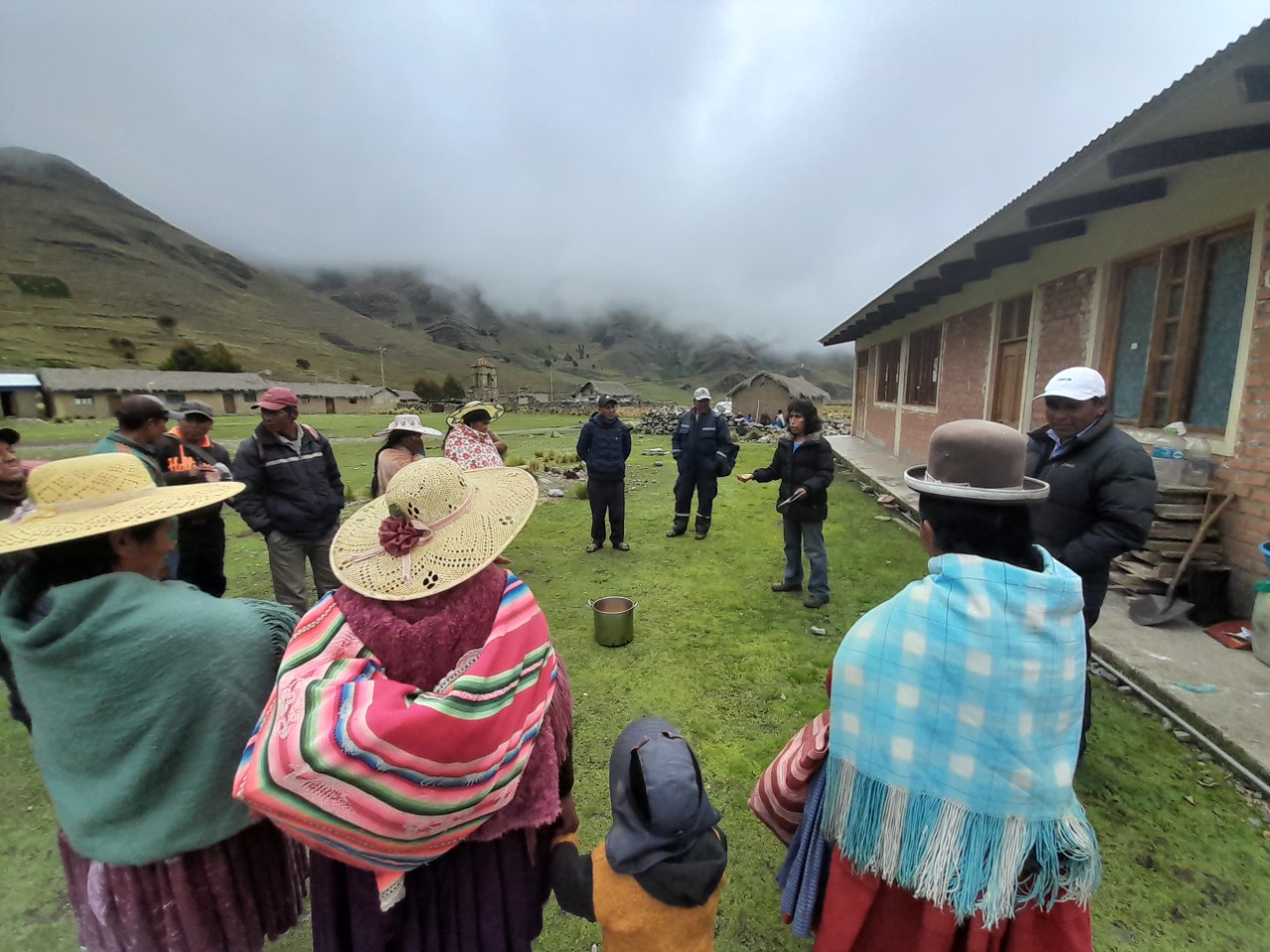 Leguminosas 20 taller