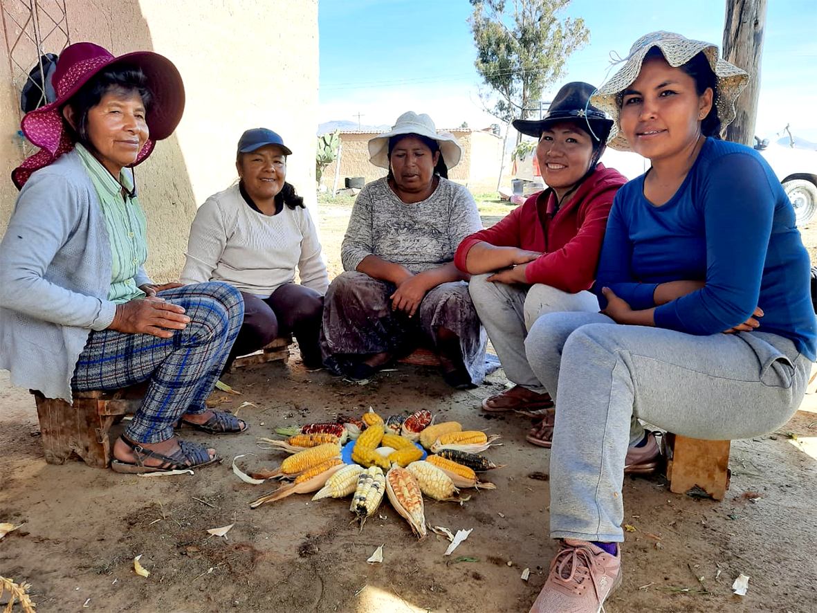 Variedades maiz señoras alegres