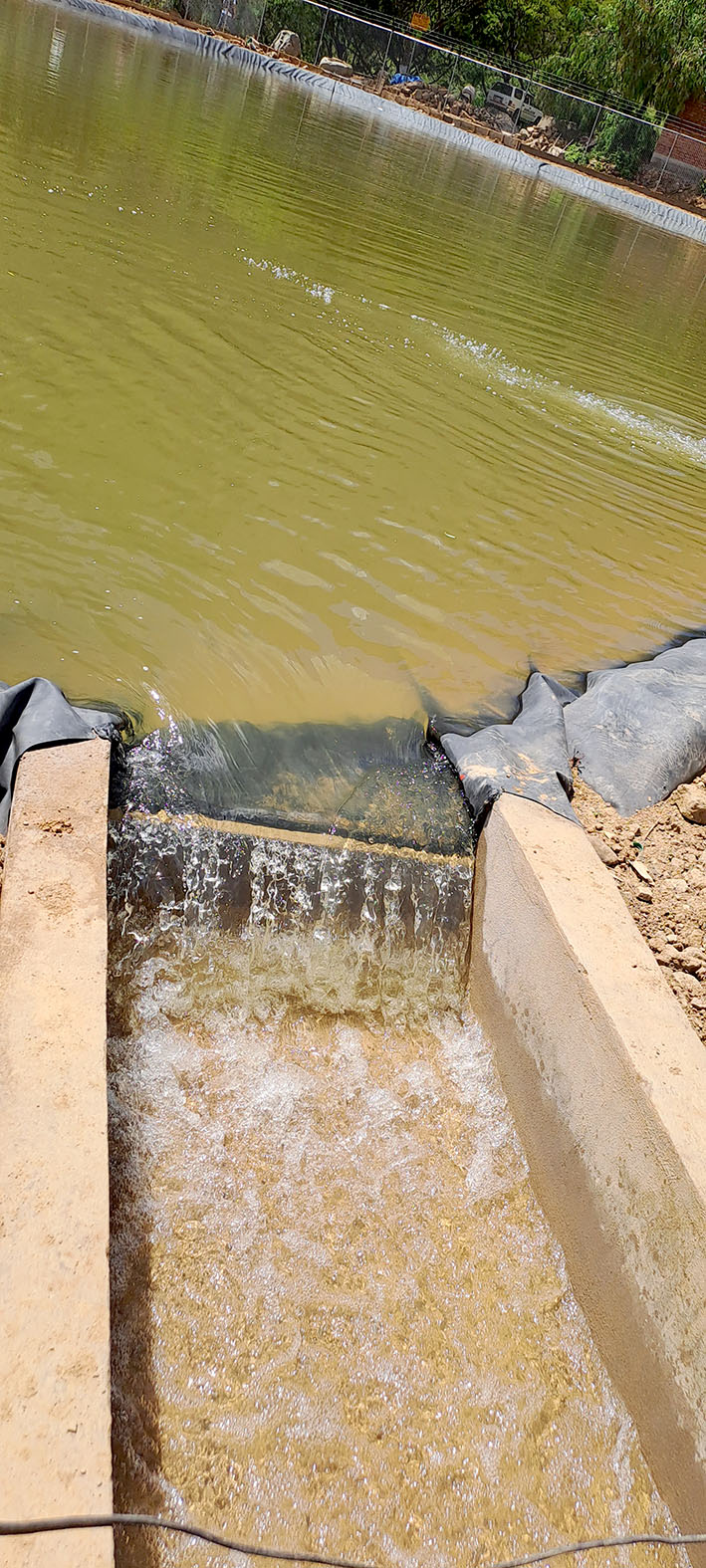 AULL Agua de laguna sale