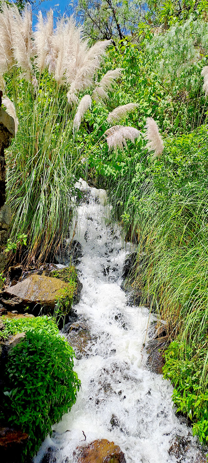 AULL Agua bajando cumbre