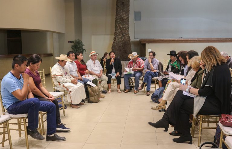 PUEBLOS INDÍGENAS ORIGINARIOS DE TIERRAS ALTAS Y TIERRAS BAJAS DENUNCIAN VIOLACIÓN DE DERECHOS ANTE LA CIDH