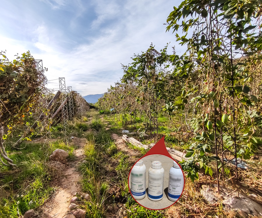 Agroquímicos usan Ucuchi BAJO