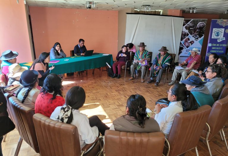 Comunidades de Oruro y Potosí exigen atención en salud especializada por afectaciones mineras