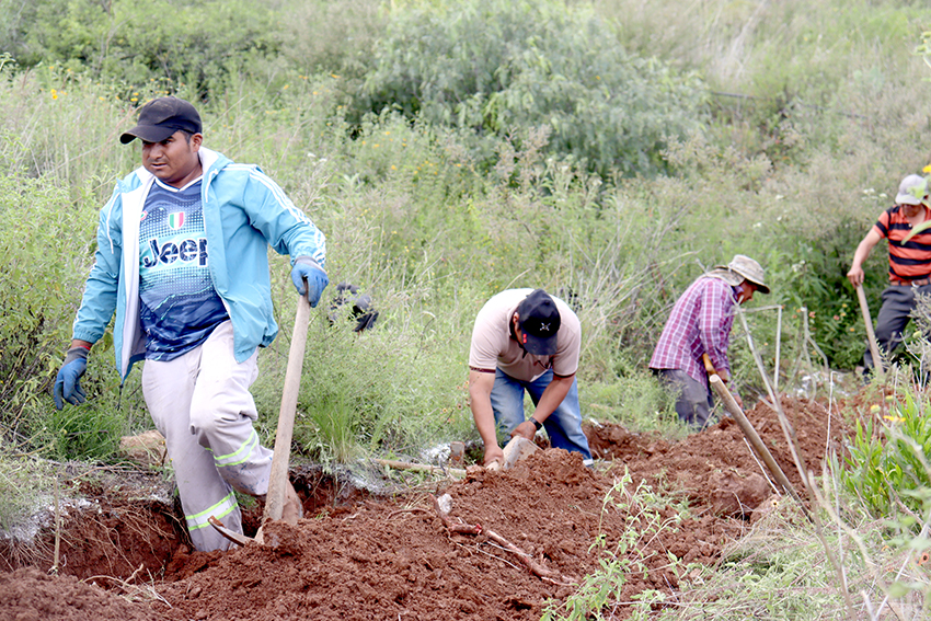 Historia de Vida trabajando remberto