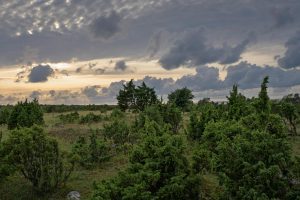 Defensa del Agua Frente a Proyectos Extractivos