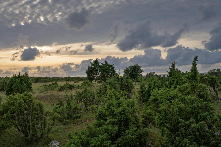 Participación de Mujeres en la Gestión del Agua