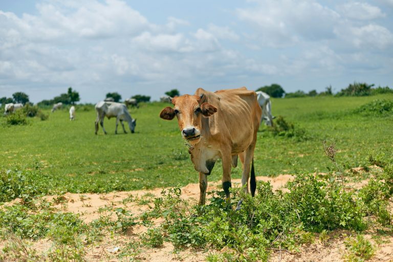 Talleres de Producción Audiovisual Comunitaria
