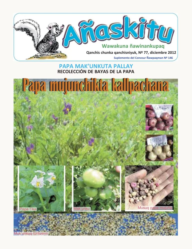 Añaskitu 77