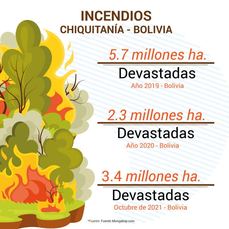 La REFORESTACIÓN implica un alto compromiso socioambiental