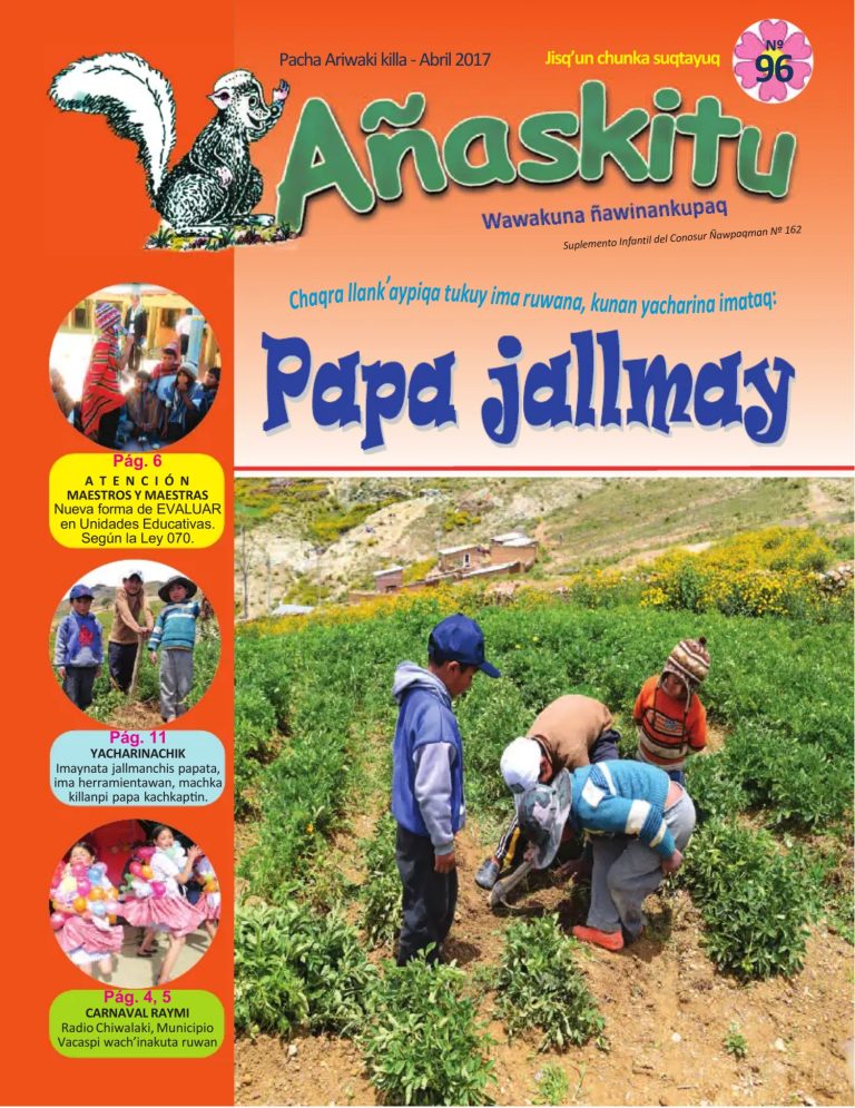 Añaskitu 96 «PAPA JALLMAY»