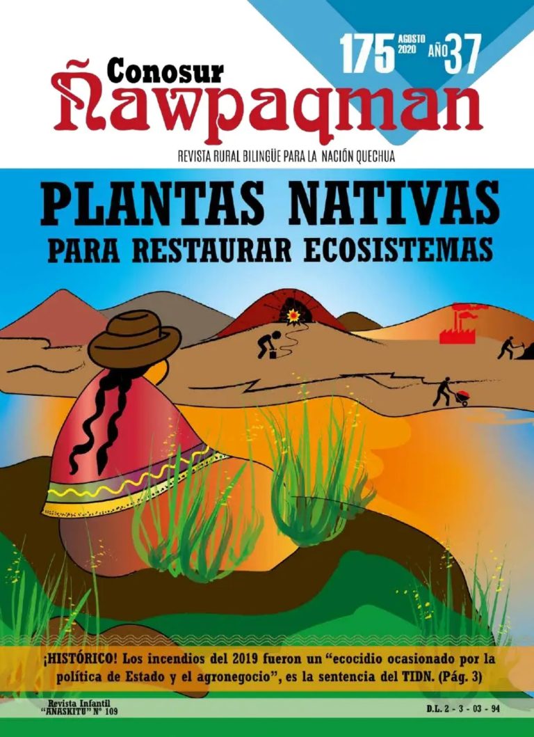 CÑ Nº 180: PIOC Autonomía Indígenawan thaskiriyta mana atichkankuchu (PDF)