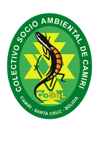 Logo aliado