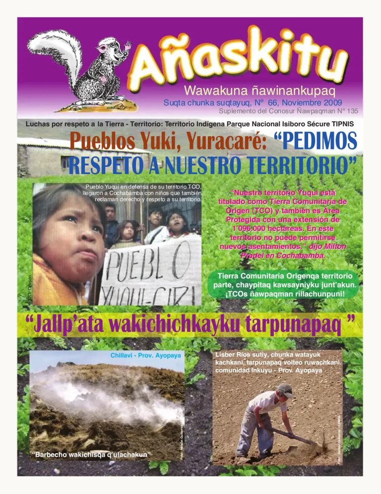 Añaskitu 66