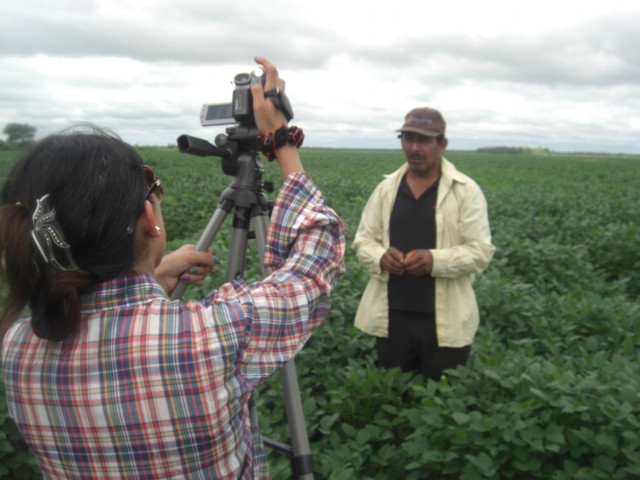 La soya transgénica atenta a la seguridad alimentaria