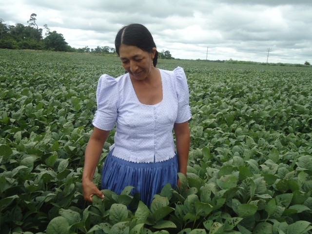 f reportaje soya transgénica 3 022014