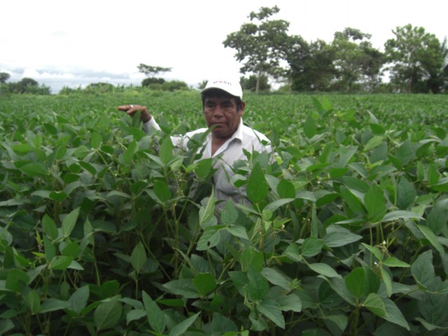 f reportaje soya transgénica 4 022014